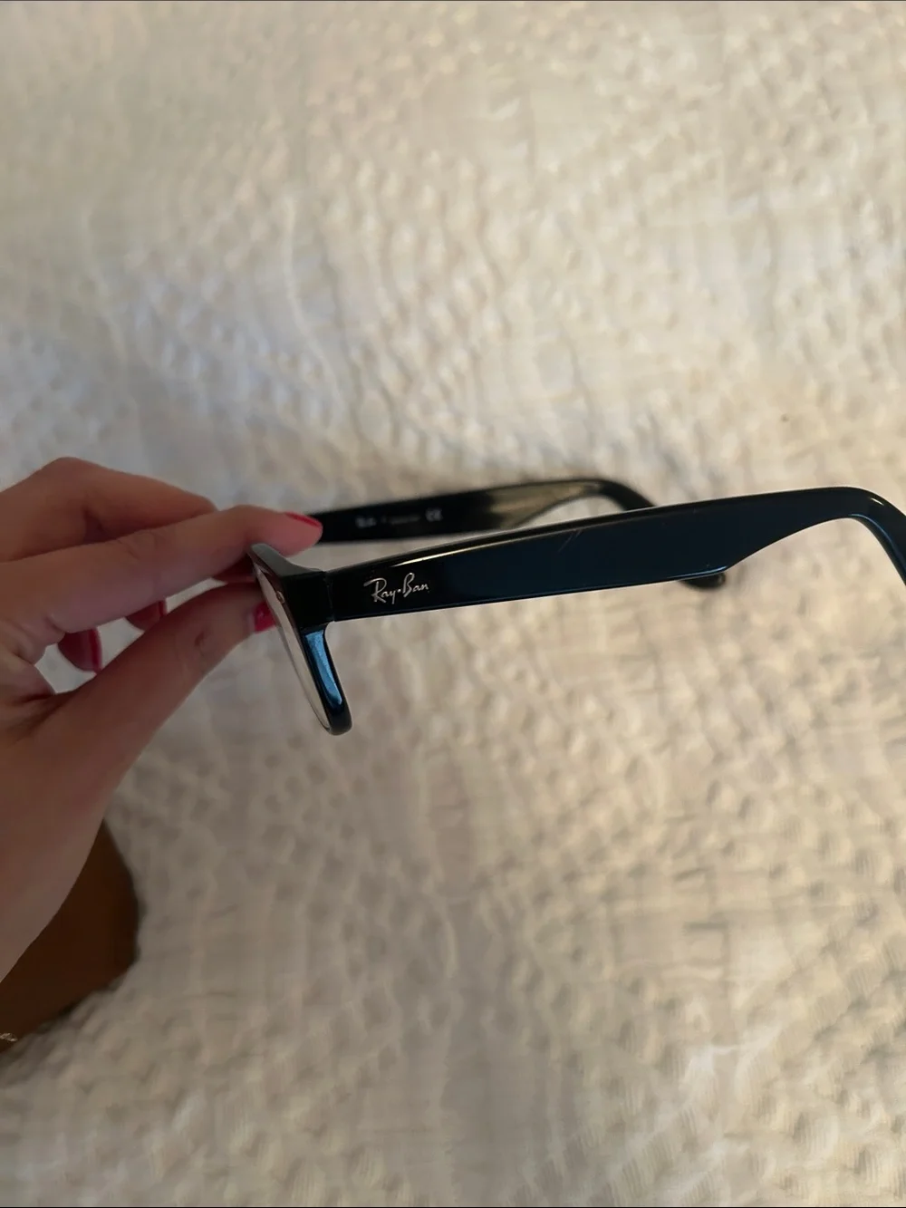 Ray-Ban Black Frames with Brown Signature Case